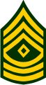 Army 1SG E8