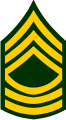 Army MSG E8