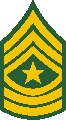 Army SGM E9