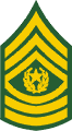 Command Sergeant Major