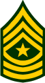Army Sergeant Major E-9