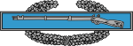 Combat Infantry Badge
