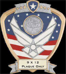 US Air Force Shield