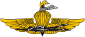 USMC Force Recon Emblem