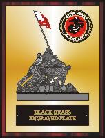 Group B Plaque Example
