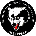 1st Bn 163d Cav Reg