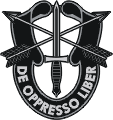 Special Forces Crest