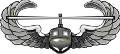 Air Assualt Wings