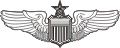USAF Senior Pilot Wings