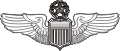 Command Pilot Wings