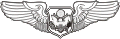 USAF Officer Air Crew Wings