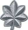 Lieutenant Colonel (Silver Leaf)