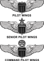 USAF Pilot Wings