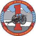 1st Battalion 10th Marines