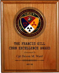 USMC Color-Laser combination plaque