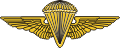 USMC Parachute Wings
