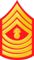 Master Gunnery Sergeant
