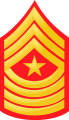 Sergeant Major